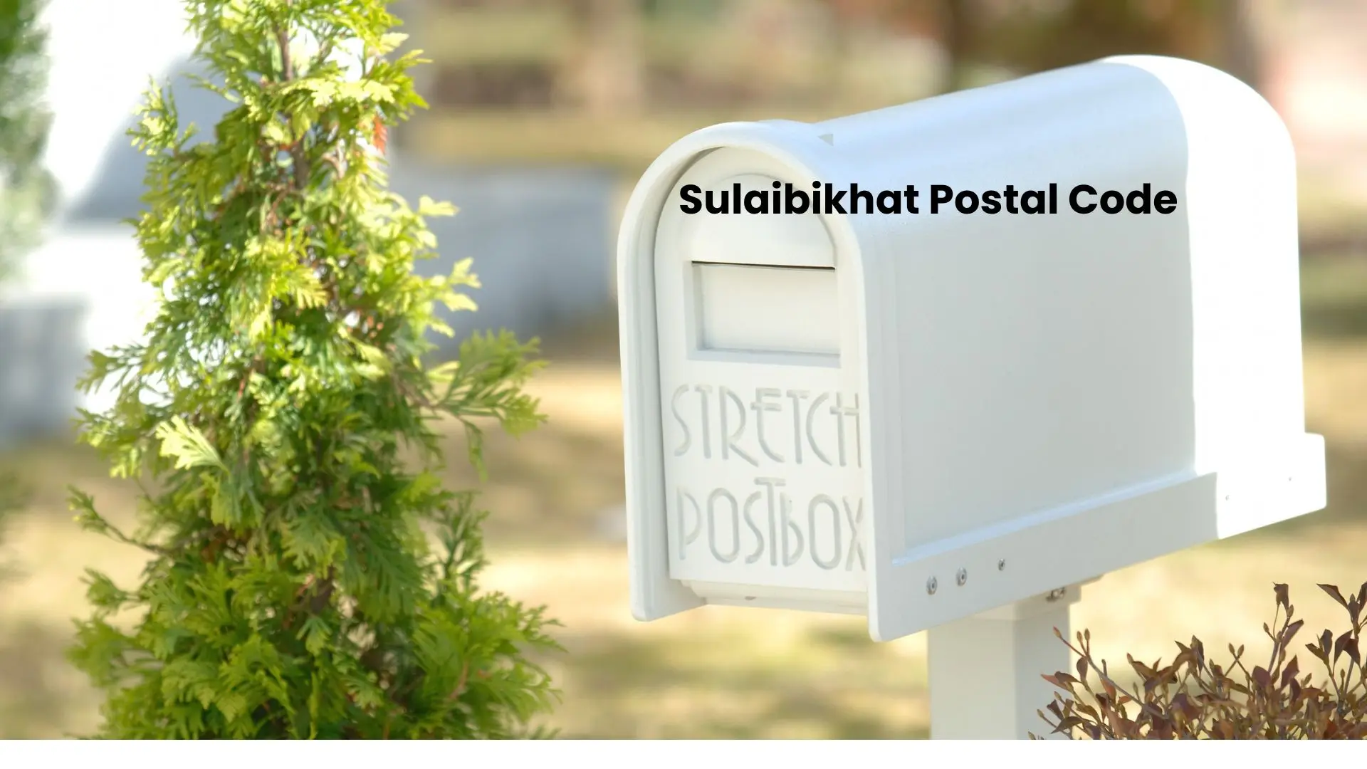 Sulaibikhat Postal Code